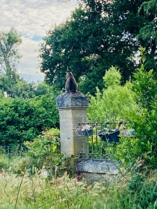 Chat sur un pylone d'entrée