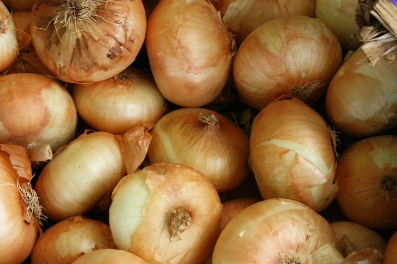 Des oignons