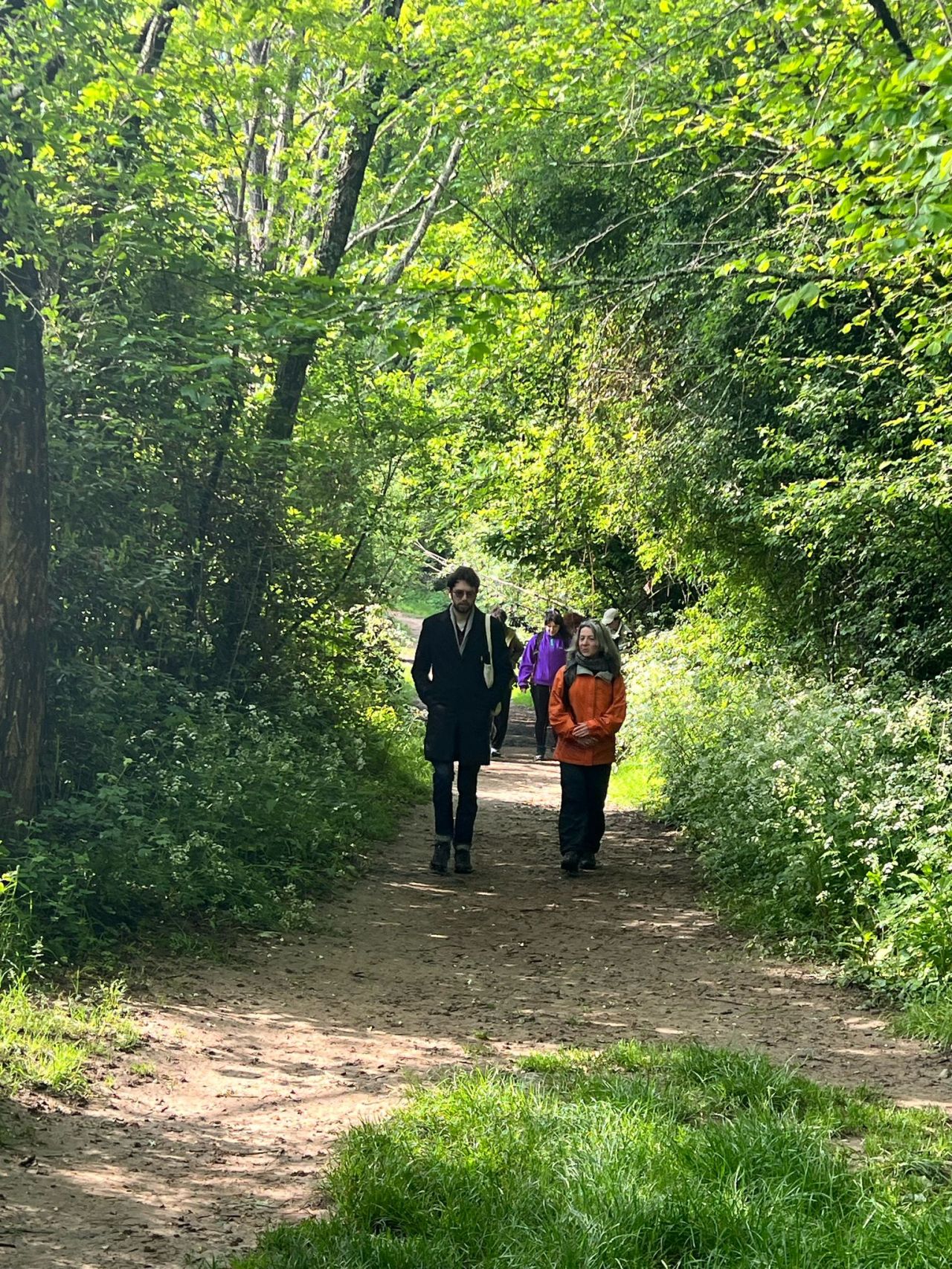 Des personnes marchent sur un sentier en forêt