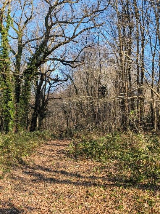 Entrée de la Forêt de La Belle Verte