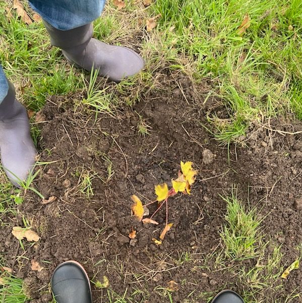 Bottes dans la terre